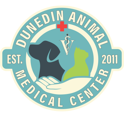 Dunedin Veterinarian | Animal Hospital Services - Dunedin Animal Medical  Center