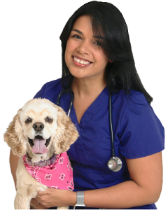 Image of Dr. Diana Delgado, Dunedin, Clearwater veterinarian