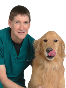 Image of Dr. Mark Williamson, Dunedin veterinarian