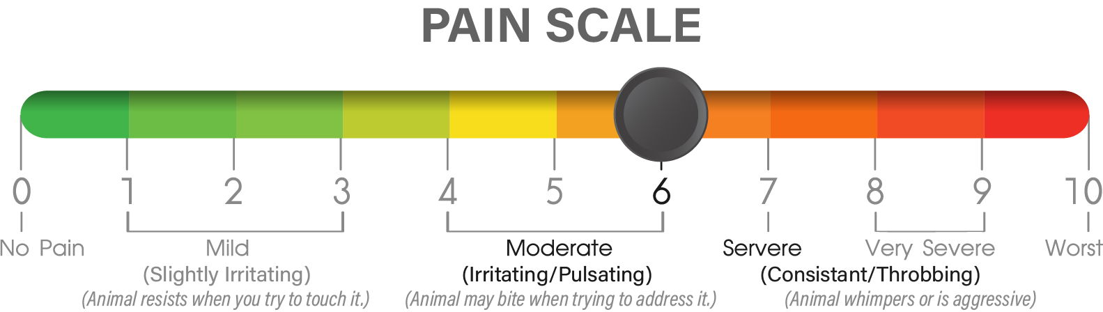 pain scale, labeled as moderate
